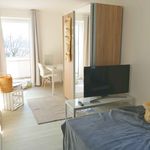 Rent a room of 87 m² in München
