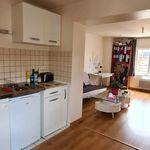 Rent 1 bedroom apartment of 30 m² in Limoges