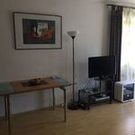Miete 1 Schlafzimmer wohnung von 45 m² in Frankfurt am Main