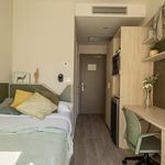Rent 2 bedroom student apartment of 30 m² in Elche