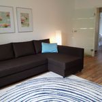 Rent 2 bedroom apartment of 49 m² in Leipzig