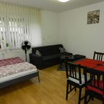 Rent 3 bedroom house of 180 m² in Prague