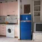 Rent 2 bedroom apartment of 60 m² in Rosignano Marittimo