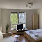 Rent 1 bedroom apartment of 45 m² in Dmosin