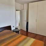 Rent 1 bedroom house of 69 m² in Pontedera