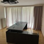 Ενοικίαση 4 υπνοδωμάτιο σπίτι από 440 m² σε Kifisia
