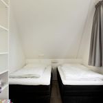 Rent 4 bedroom house in Vlagtwedde