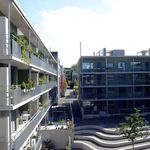 Rent 4 bedroom apartment in Bern