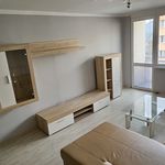 Rent 3 bedroom apartment of 64 m² in Děčín