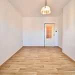 Rent 1 bedroom apartment of 79 m² in Brno