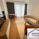 Rent 1 bedroom apartment of 40 m² in Brussel