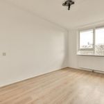 Rent a room of 70 m² in Amsterdam