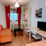 Rent 1 bedroom apartment in Santa Marta de Tormes