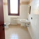 Rent 2 bedroom apartment of 45 m² in Porto Mantovano