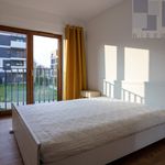 Rent 3 bedroom apartment of 56 m² in Katowice
