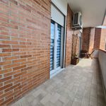 Rent 2 bedroom apartment of 60 m² in Luni