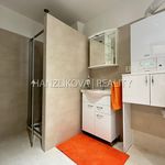 Rent 1 bedroom apartment of 106 m² in České Budějovice
