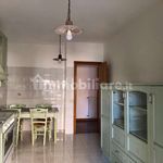 Affitto 3 camera appartamento di 100 m² in Albano Laziale
