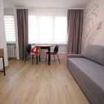 Wynajmij 1 sypialnię apartament z 25 m² w Tarnów