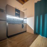 Rent 1 bedroom apartment of 28 m² in Vicenza