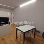Affitto 1 camera appartamento di 50 m² in Mondovì