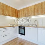 Rent 2 bedroom apartment of 46 m² in Zbůch