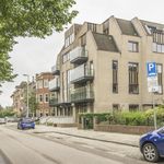 Rent 3 bedroom apartment in Den Haag