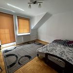 Rent 6 bedroom house of 220 m² in Chełm