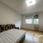 Rent 2 bedroom apartment of 37 m² in Ústí nad Labem