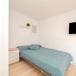 Rent a room in Elx