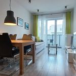 Rent 2 bedroom apartment of 45 m² in Katowice
