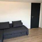 Rent 4 bedroom house of 150 m² in Mons
