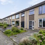 Rent 4 bedroom apartment of 116 m² in Boxtel