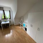 Rent 1 bedroom apartment of 24 m² in Mannheim