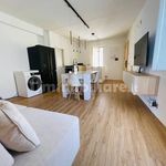 Affitto 1 camera appartamento di 50 m² in Pollica