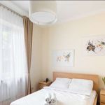 Rent 3 bedroom apartment in warsaw