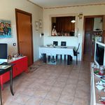 3-room flat via dei Girasoli 2, Collefiorito, Guidonia Montecelio