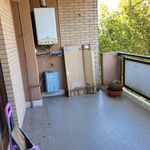Rent 3 bedroom apartment of 87 m² in Roma