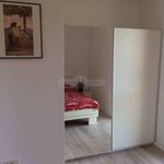 Rent 1 bedroom apartment of 50 m² in Rijeka