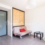 Rent 1 bedroom apartment of 35 m² in Bologna
