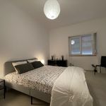 Rent 4 bedroom apartment in Setúbal