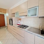 Rent 2 bedroom apartment of 55 m² in Santa Marinella
