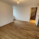 Rent 4 bedroom apartment in Erlen