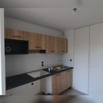 Rent 1 bedroom apartment in Aucamville