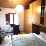 Affitto 1 camera appartamento di 55 m² in San Giovanni Valdarno
