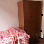 Rent 2 bedroom apartment in Pisa