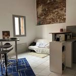 Rent 1 bedroom apartment of 24 m² in Perpignan