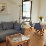 Rent 2 bedroom apartment of 55 m² in Bonn