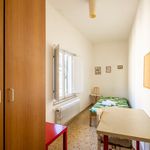 Affitto 3 camera appartamento di 90 m² in Firenze