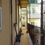 Rent 2 bedroom student apartment of 40 m² in Roma